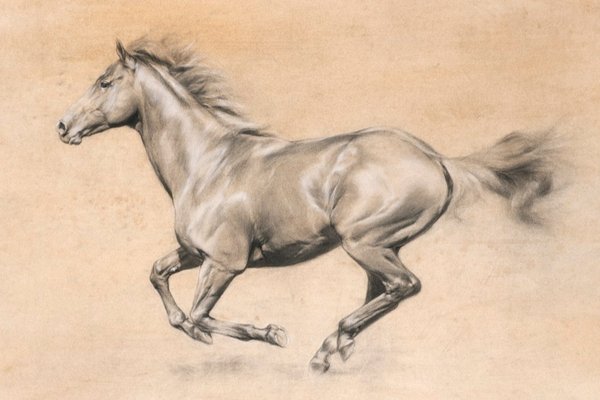 Nichola Eddery Horse Racing Prints