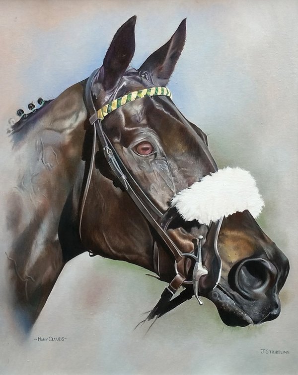 Many Clouds - Head Study by Joanna Stribbling