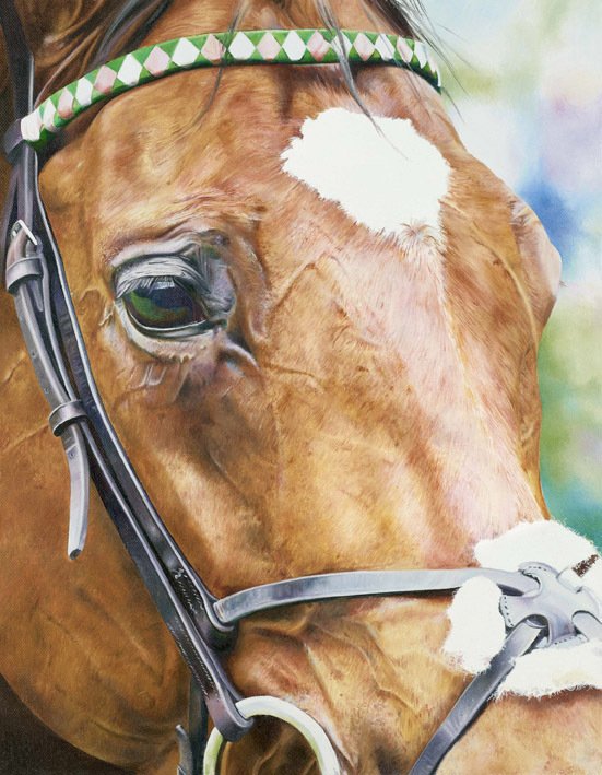 Soul of a Champion - Frankel Head Study by Joanna Stribbling