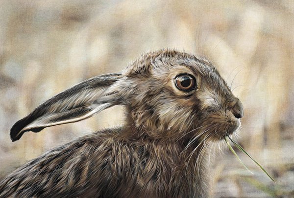 The Green Party - Hare by Denise Finney