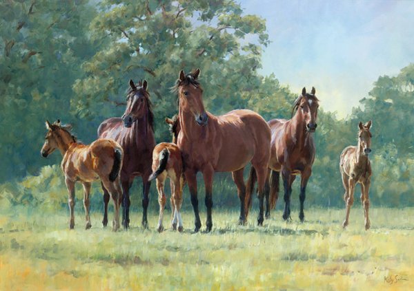 Sanctuary, Mares and Foals by Katy Sodeau