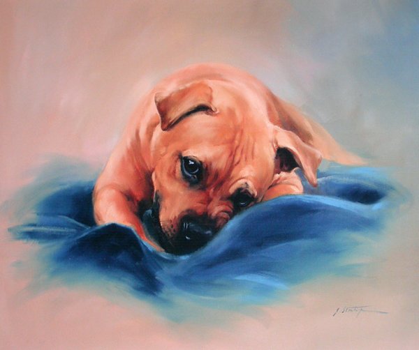 Staffordshire Bull Terrier by Jacqueline Stanhope