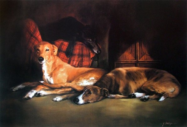 Greyhounds at Rest by Jacqueline Stanhope