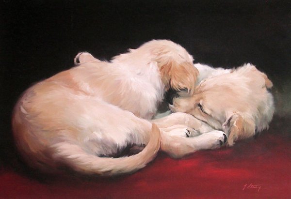 Golden Retrievers by Jacqueline Stanhope