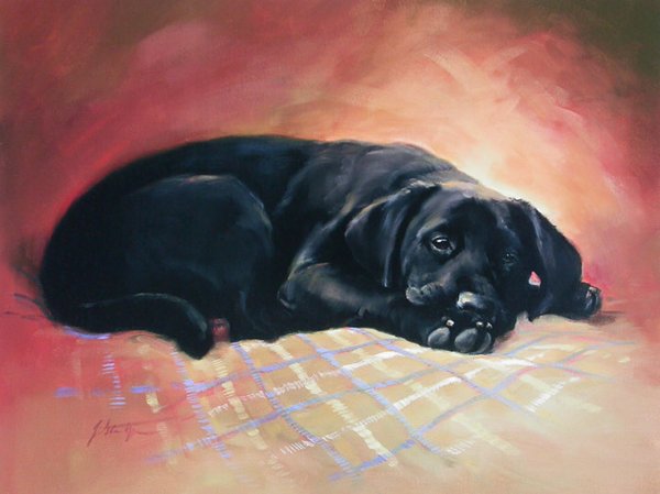 Black Labrador by Jacqueline Stanhope
