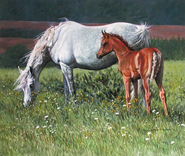 Arabian Mare and Foal by Judi Kent Pyrah
