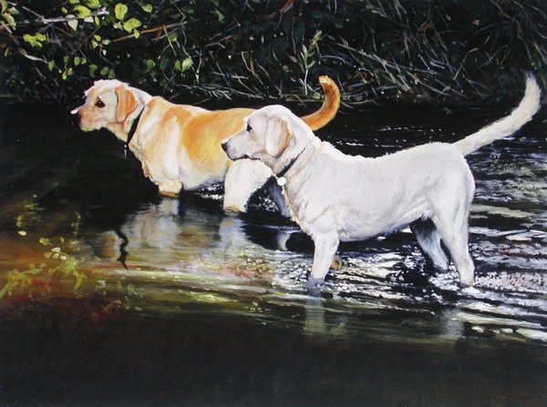 Upstream? - Labradors by Judi Kent Pyrah