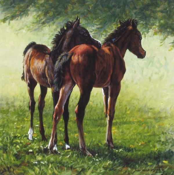 Friendship - Arabian Foals by Judi Kent Pyrah