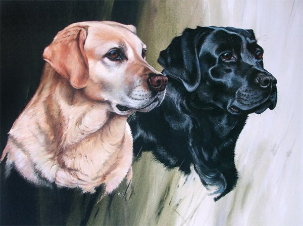Labrador Retrievers by Vic Granger