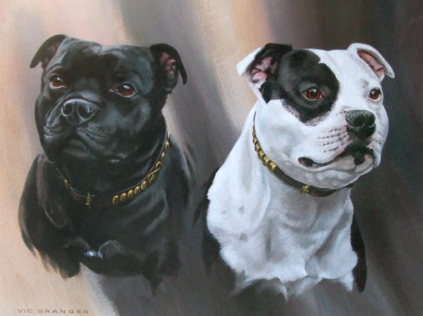 Staffordshire Bull Terriers by Vic Granger