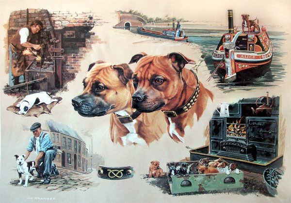 Diamond Jubilee - Staffordshire Bull Terrier by Vic Granger